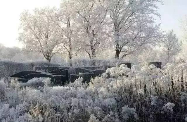 [分享]为什么现在的设计师都喜欢种草