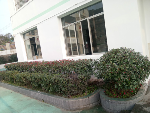 绿化工程3