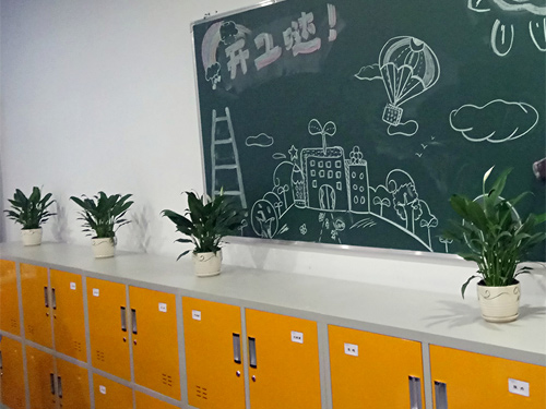 论重庆绿植租摆市场发展前景(一)