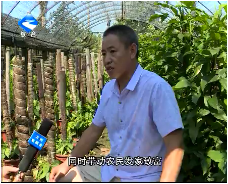 重庆万州锦峻苗圃退伍老兵骆成孝——为市民带去绿意