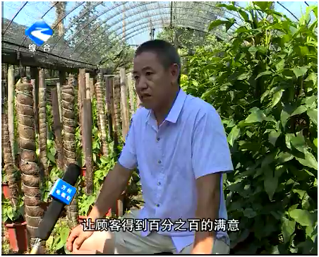 重庆万州锦峻苗圃退伍老兵骆成孝——为市民带去绿意