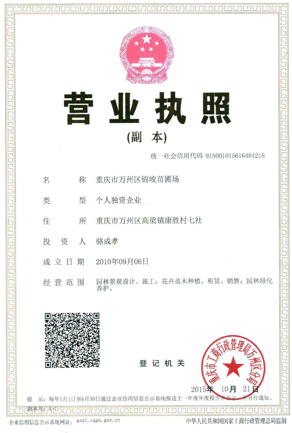 资质荣誉